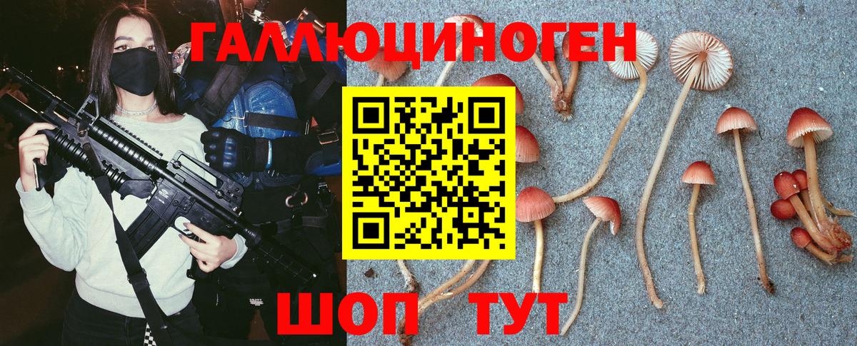 Галлюциногенные грибы мицелий  Вход с VPN  Семилуки  Галлюциногенные грибы GOLDEN TEACHER 